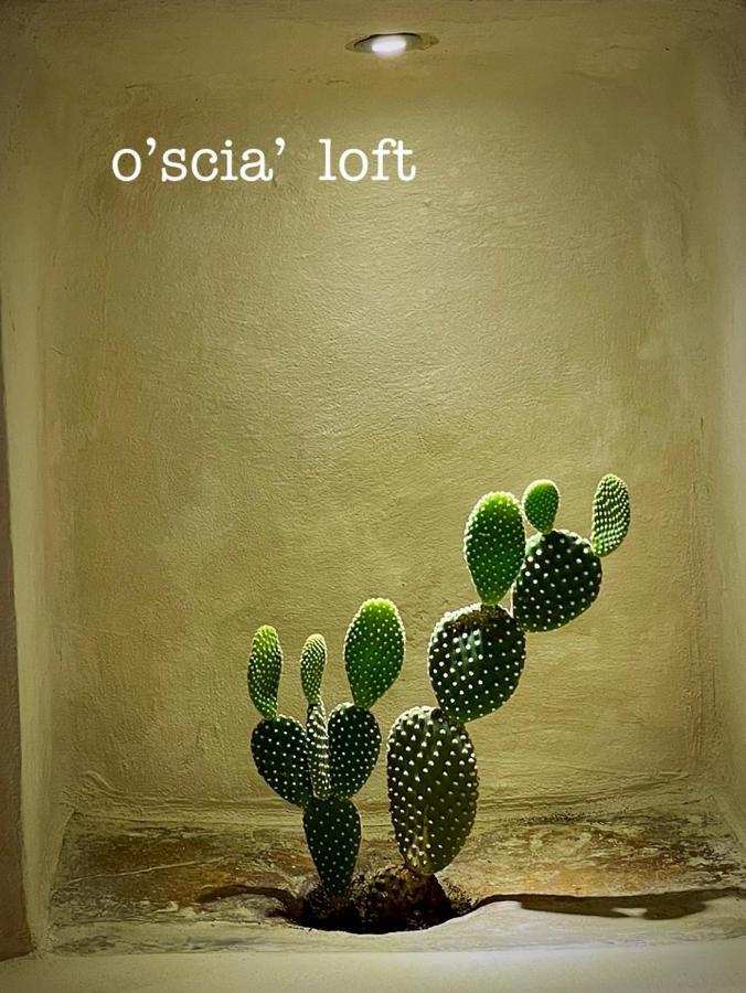 O'scia Loft *